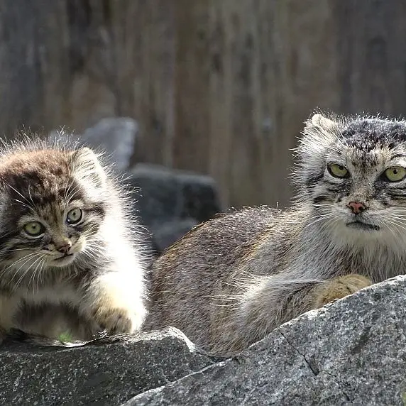 A photograph of Charu and Manuela in Tierpark Berlin