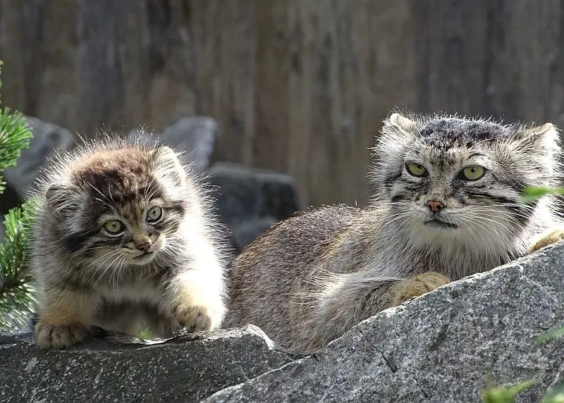 A photograph of Charu and Manuela in Tierpark Berlin