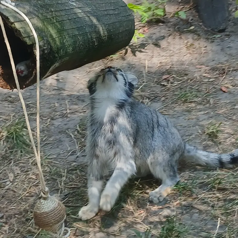 A photograph of Lucy in Budapest Zoo & Botanical Garden