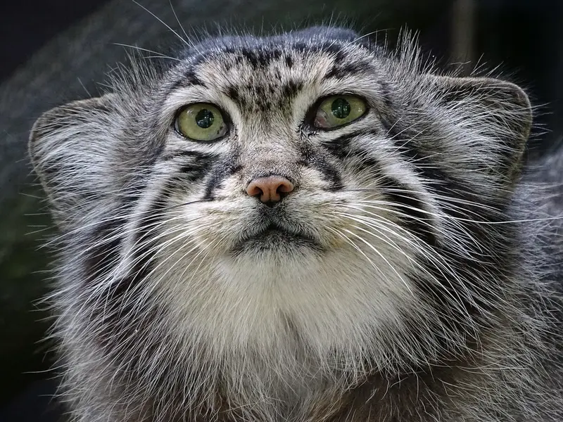 A photograph of Hurst in Riga Zoo