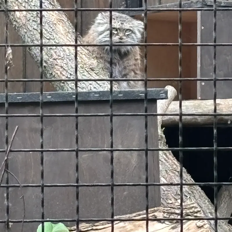 A photograph of Jessie in Warsaw Zoo