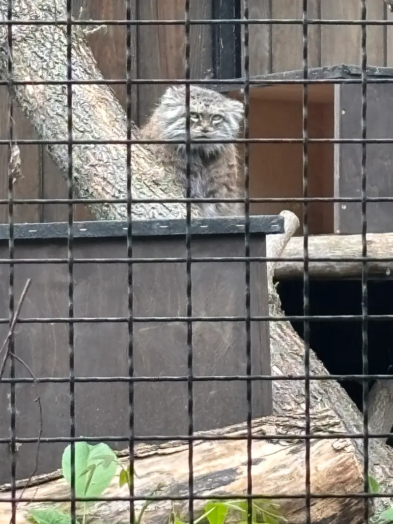 A photograph of Jessie in Warsaw Zoo