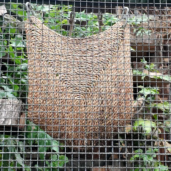 A photograph of Shu in Leningrad zoo