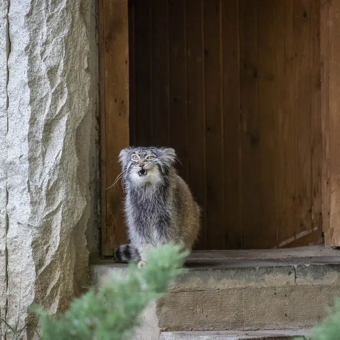A photograph of Timofey in Moscow zoo