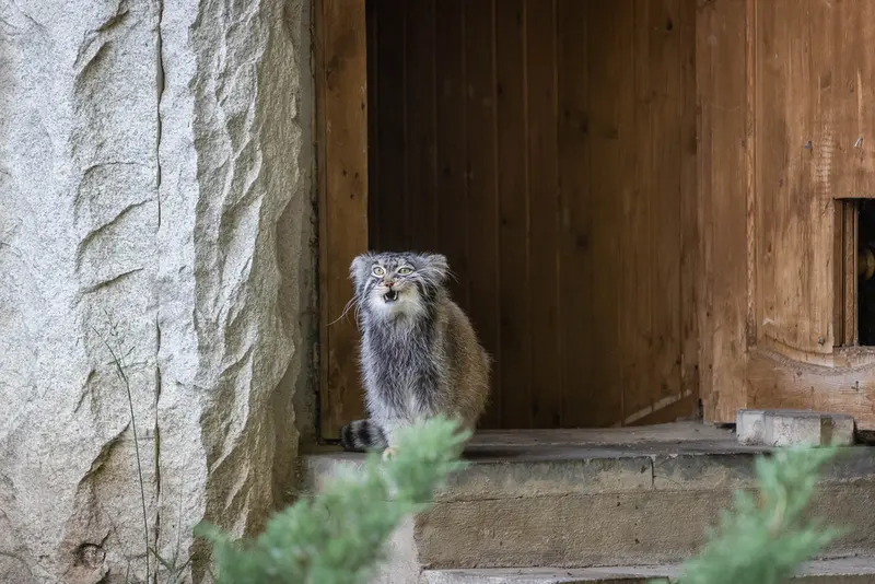 A photograph of Timofey in Moscow zoo