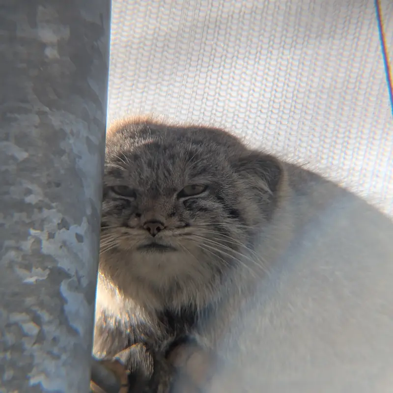 A photograph of Bat-Erdene in The Lakeland Wildlife Oasis