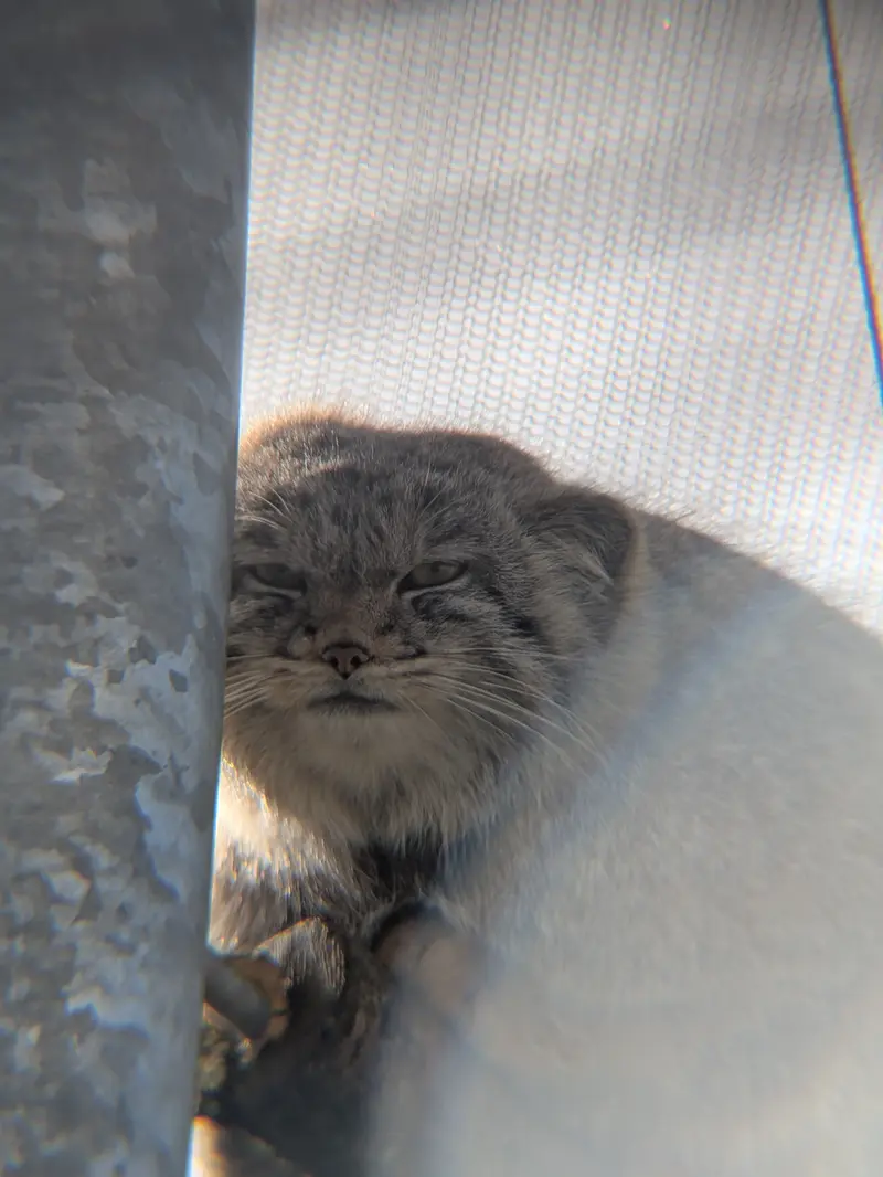 A photograph of Bat-Erdene in The Lakeland Wildlife Oasis