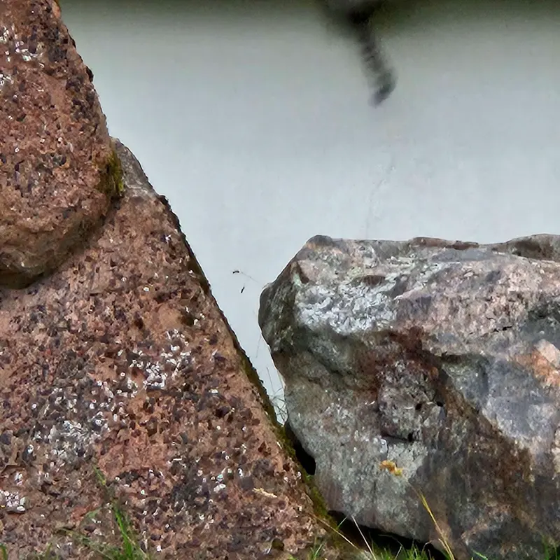 A photograph of Sten in Korkeasaari Zoo