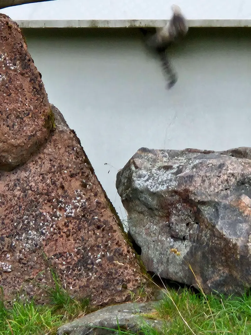 A photograph of Sten in Korkeasaari Zoo