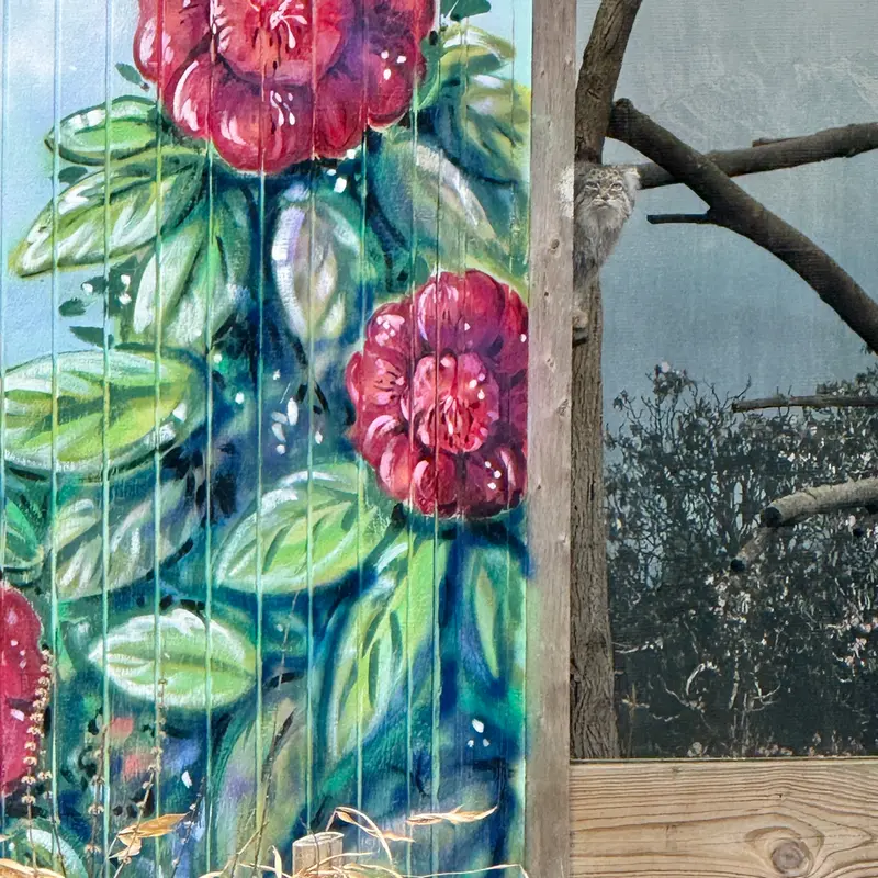 A photograph of Pazi in Potter Park Zoo