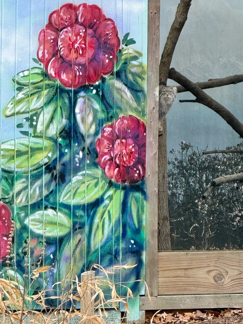 A photograph of Pazi in Potter Park Zoo