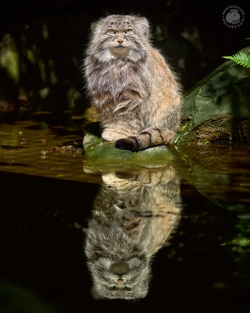 La Torbiera reopens after its winter break!