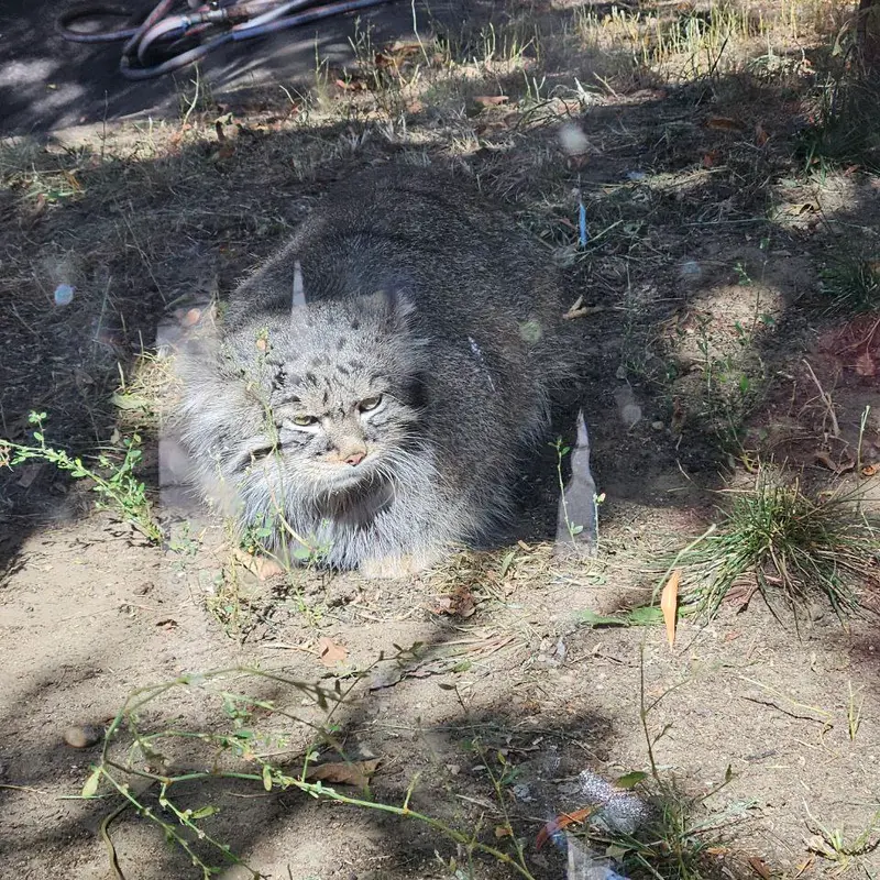 A photograph of Timofey in Moscow zoo