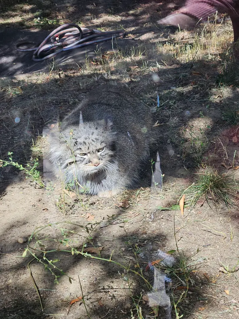 A photograph of Timofey in Moscow zoo