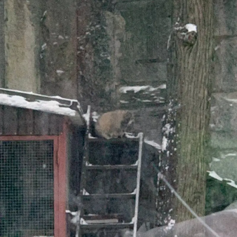 A photograph of Timofey in Moscow zoo