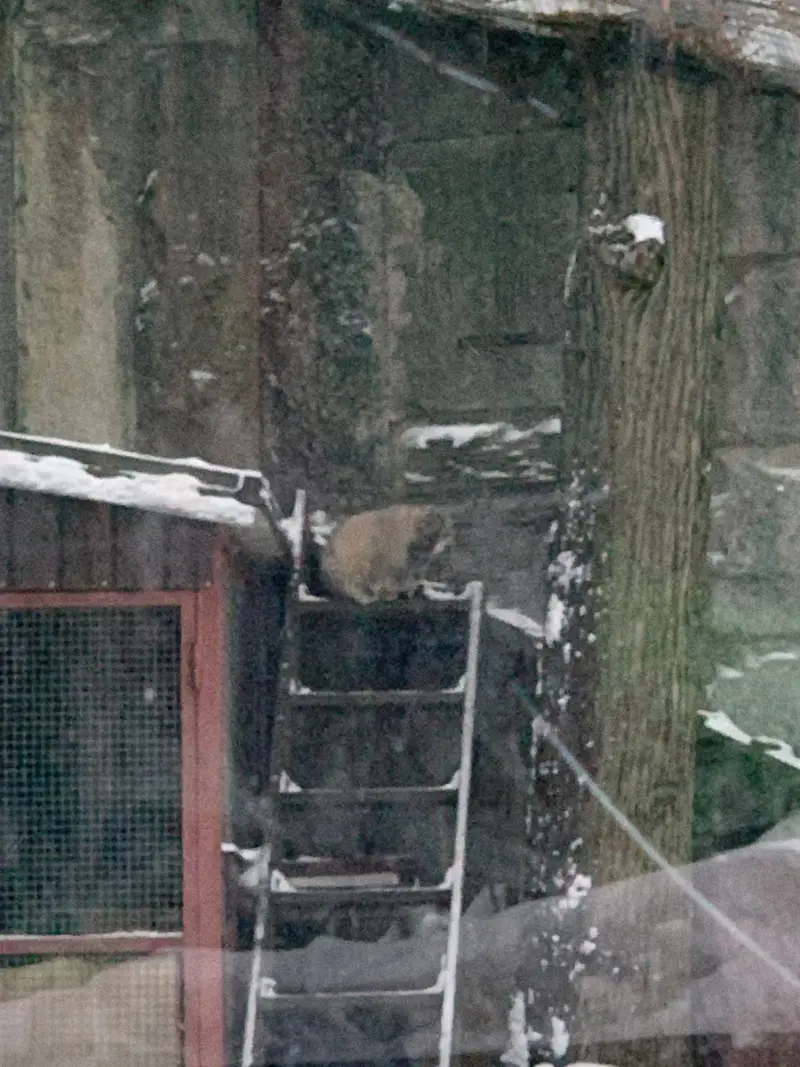 A photograph of Timofey in Moscow zoo