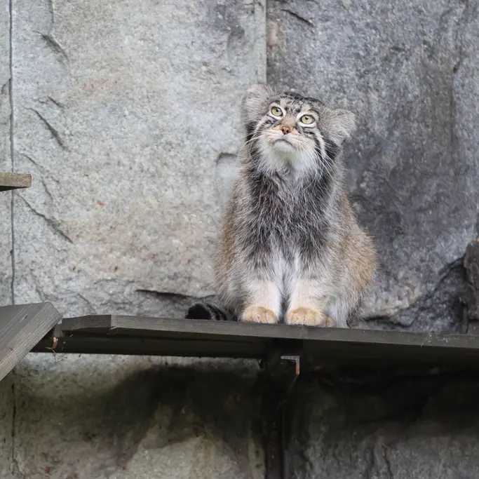 A photograph of Timofey in Moscow zoo