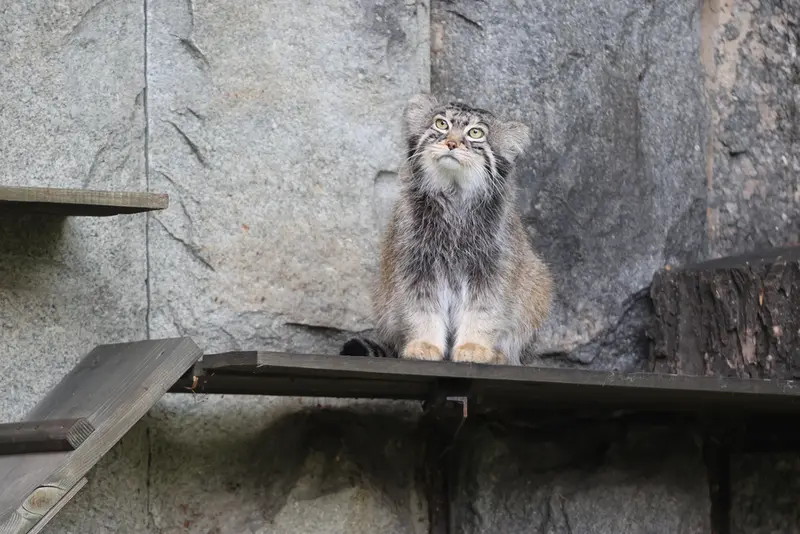 A photograph of Timofey in Moscow zoo