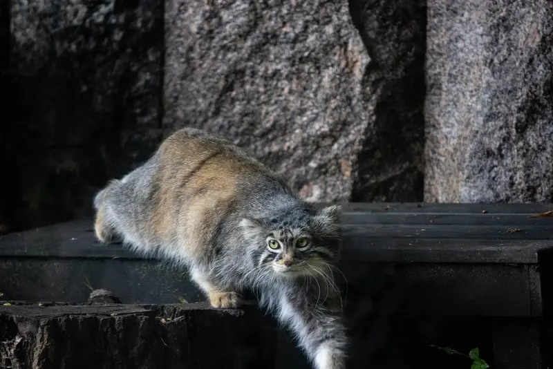 A photograph of Timofey in Moscow zoo