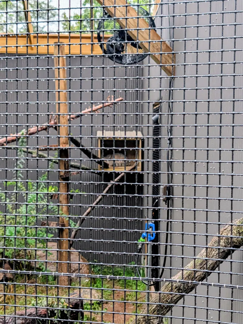 A photograph of Kasper in Elmwood Park Zoo