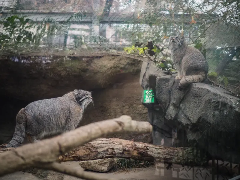A photograph of Az and Nar in Kobe Animal Kingdom