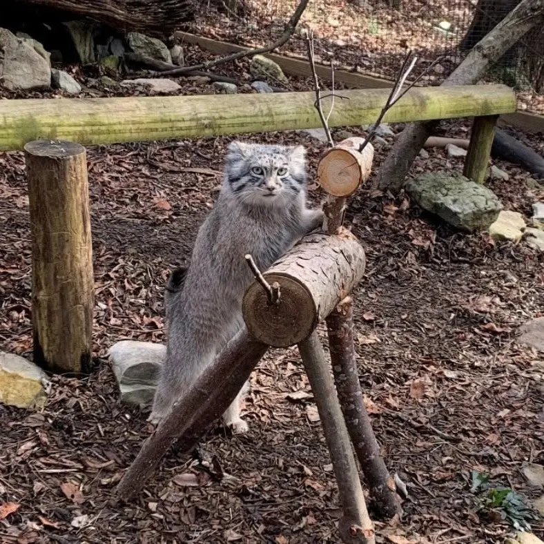 A photograph of Dean in Oglebay Good Zoo