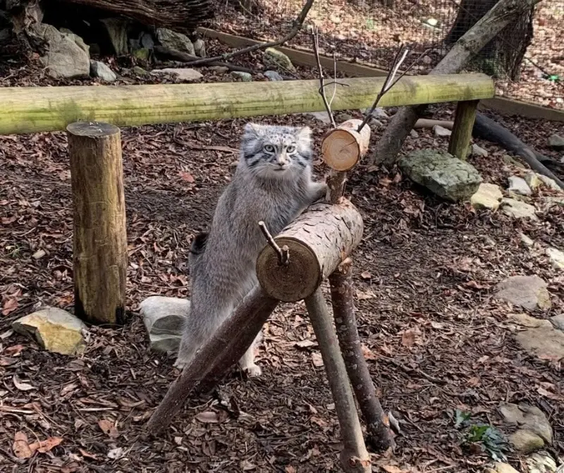 A photograph of Dean in Oglebay Good Zoo