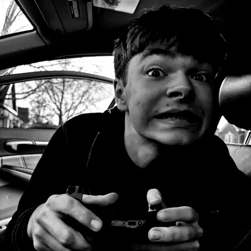 A photograph of a Pallas's cat