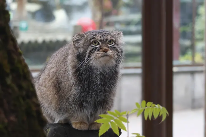 A photograph of Timofey in Moscow zoo