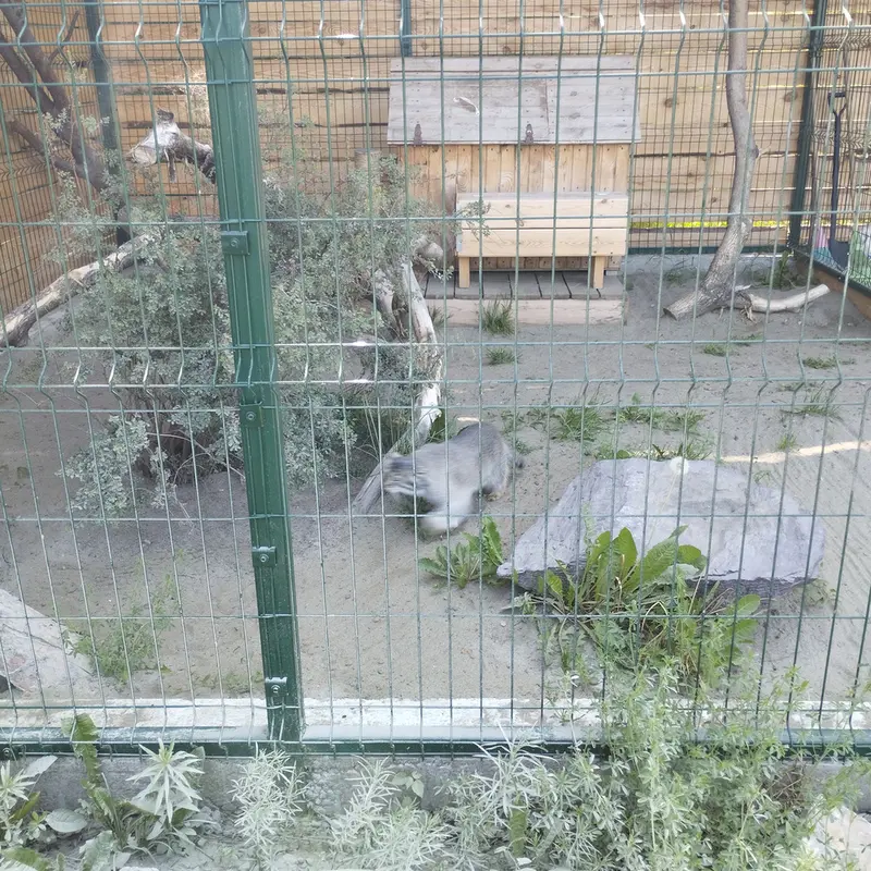 A photograph of Pepe in Barnaul zoo “Lesnaya skazka”