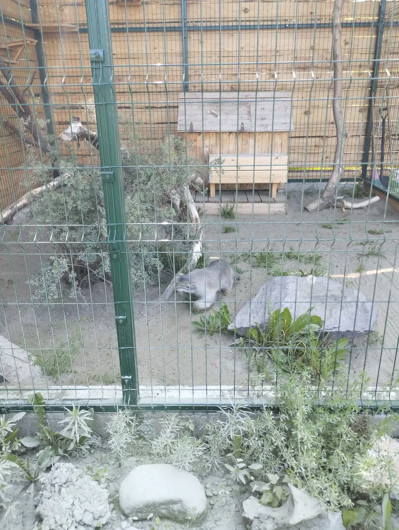 A photograph of Pepe in Barnaul zoo “Lesnaya skazka”