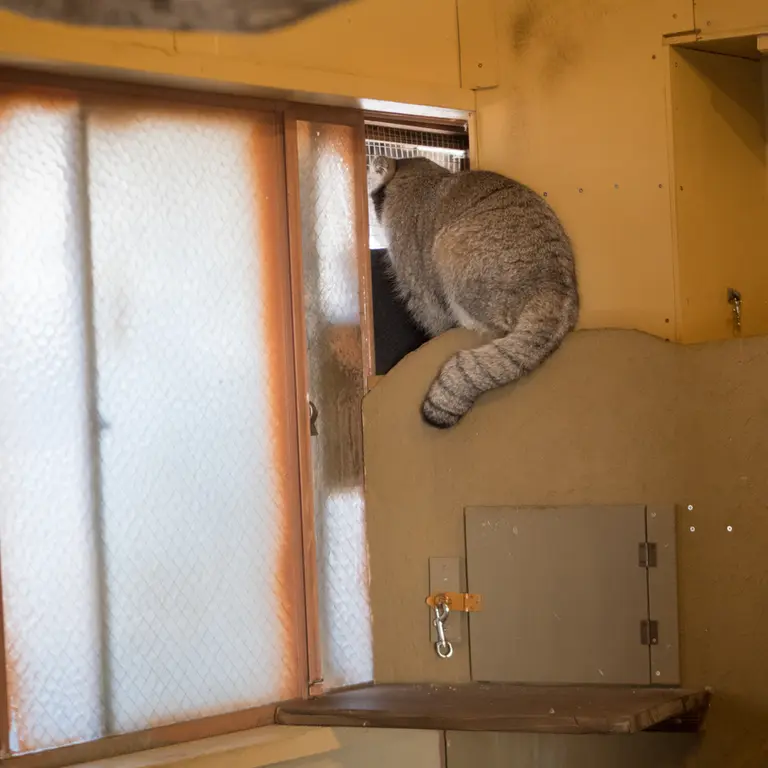A photograph of Oto in Saitama Children's Zoo