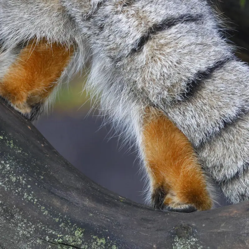 A photograph of Timofey in Moscow zoo