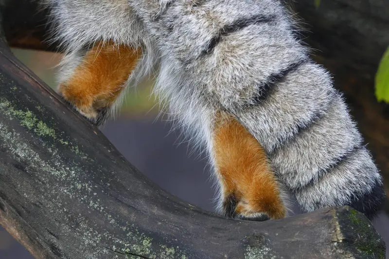 A photograph of Timofey in Moscow zoo