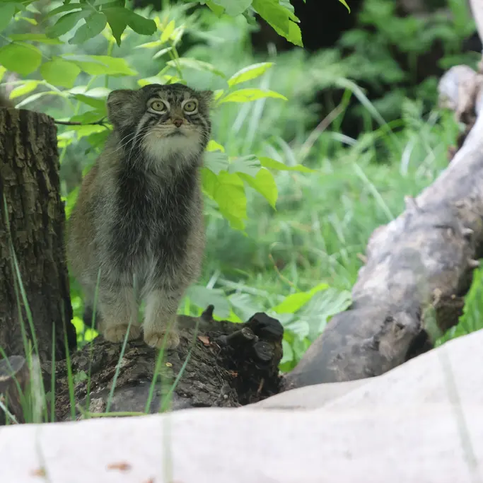 A photograph of Timofey in Moscow zoo
