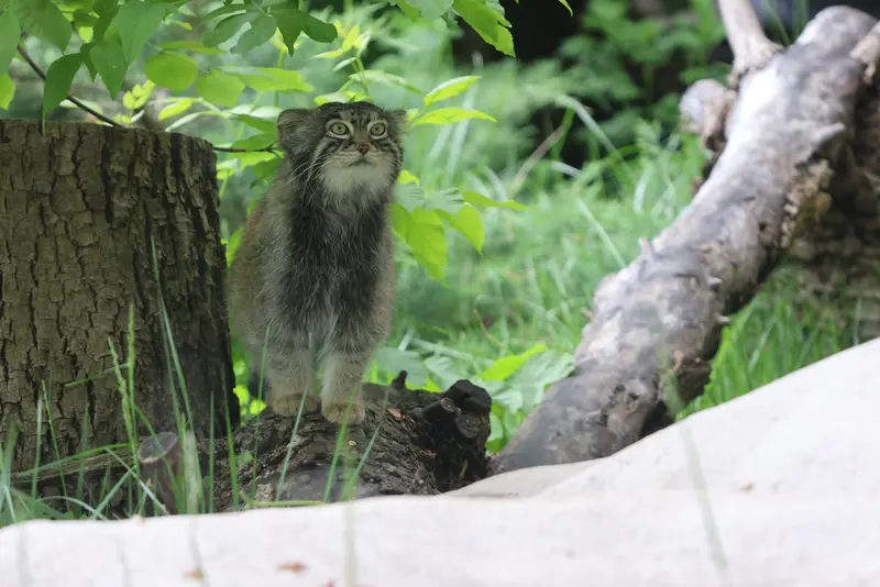 A photograph of Timofey in Moscow zoo