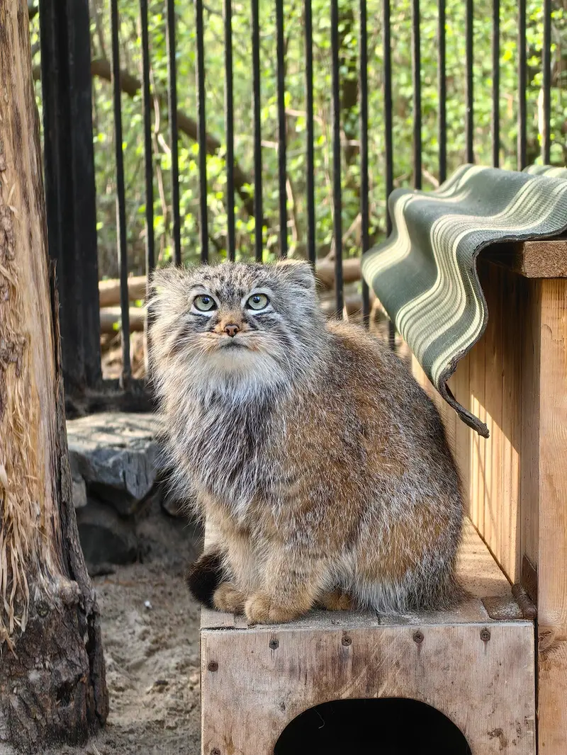A photograph of Gabi in Novosibirsk Zoo