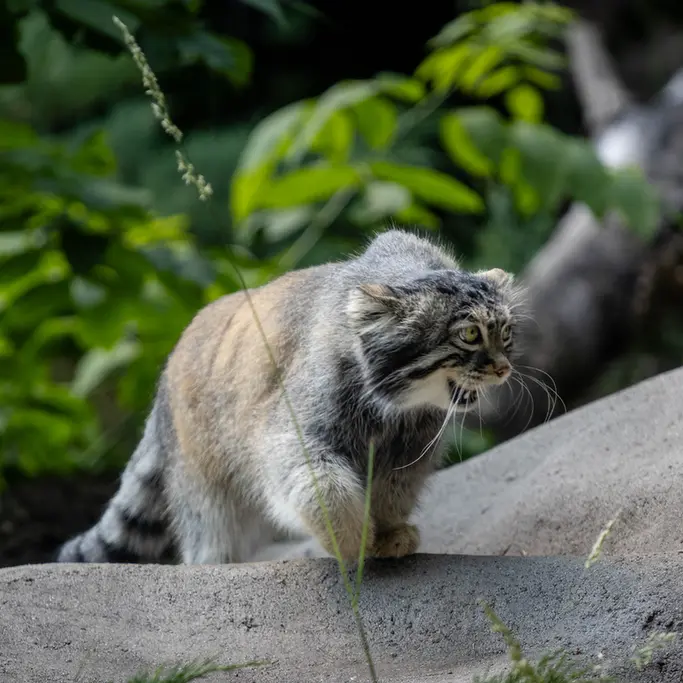 A photograph of Timofey in Moscow zoo