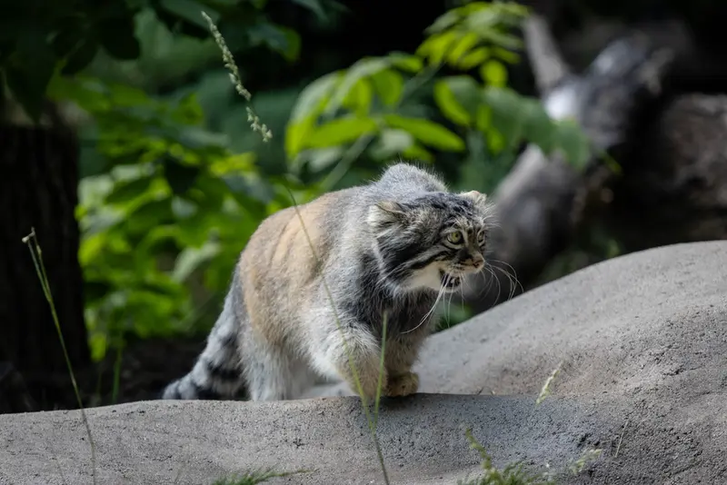 A photograph of Timofey in Moscow zoo
