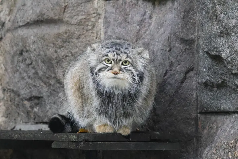 A photograph of Timofey in Moscow zoo