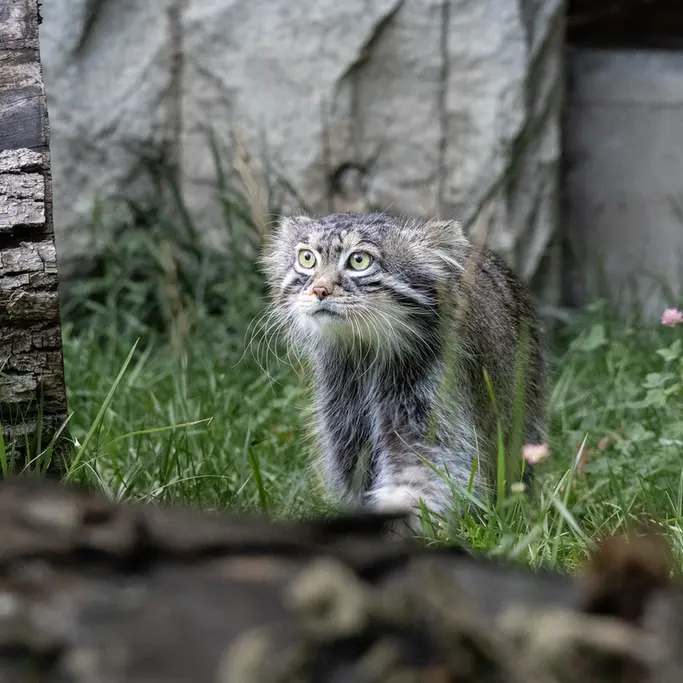 A photograph of Timofey in Moscow zoo