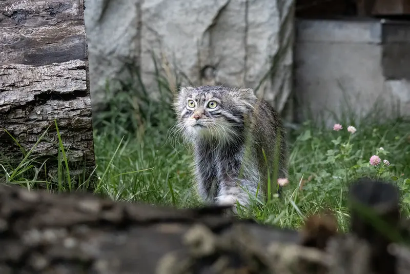 A photograph of Timofey in Moscow zoo