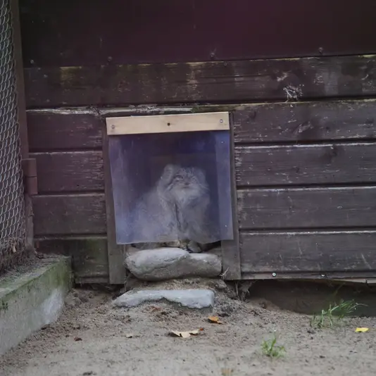 A photograph of Bozenka in Poznan New Zoo