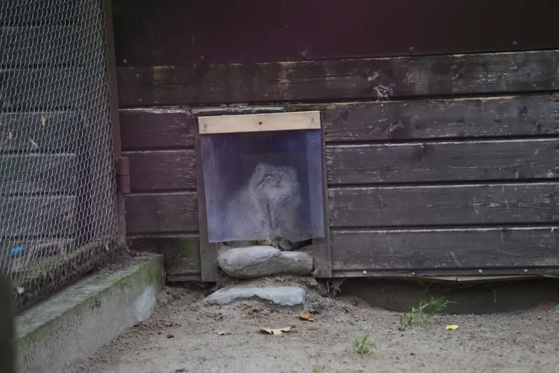 A photograph of Bozenka in Poznan New Zoo