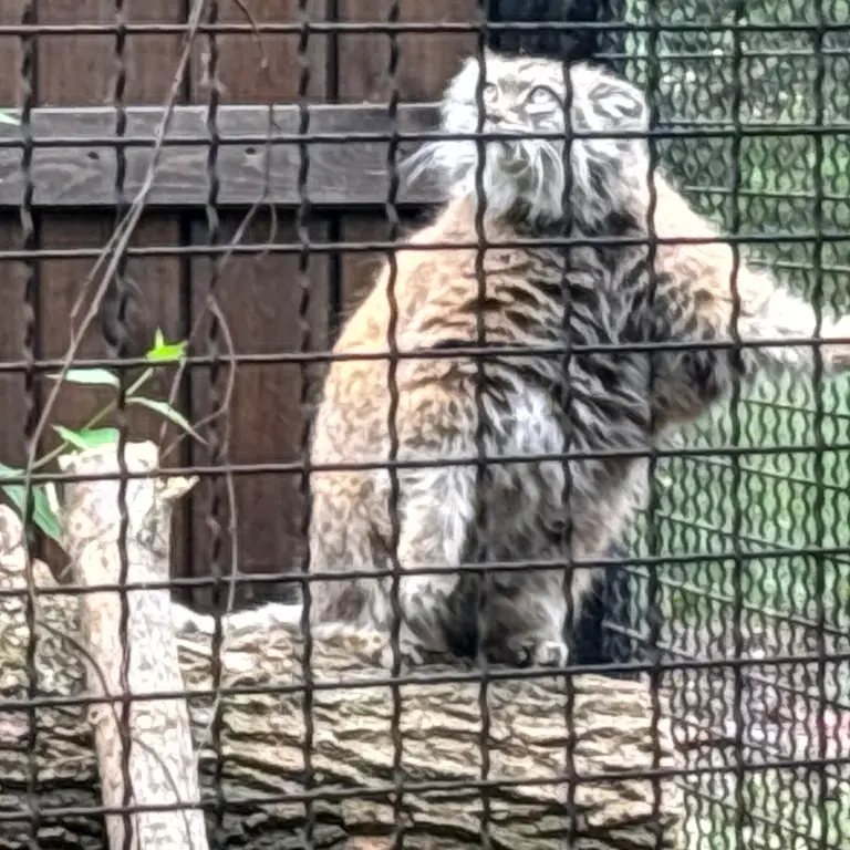 A photograph of Jessie in Warsaw Zoo