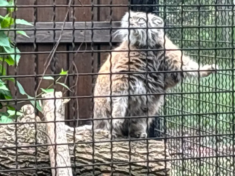 A photograph of Jessie in Warsaw Zoo