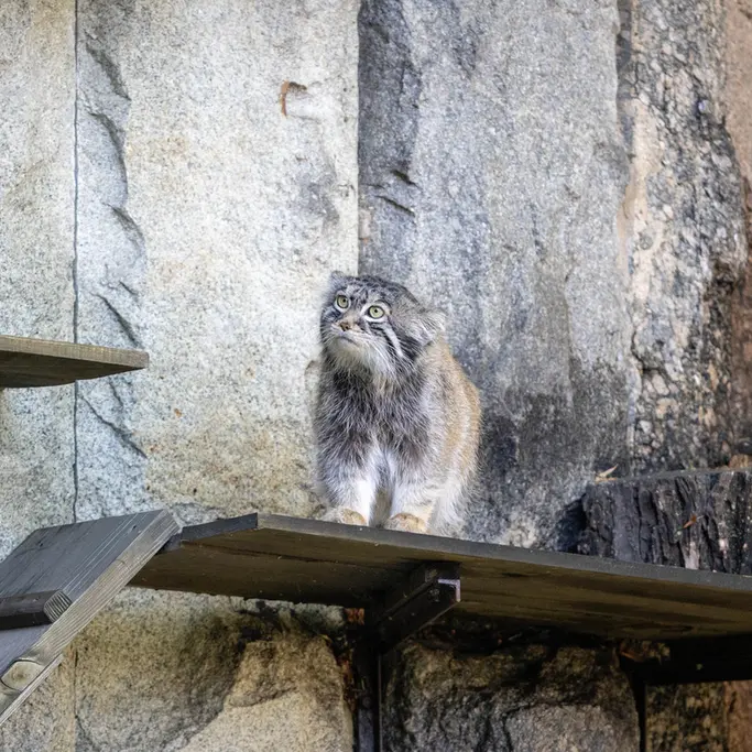 A photograph of Timofey in Moscow zoo