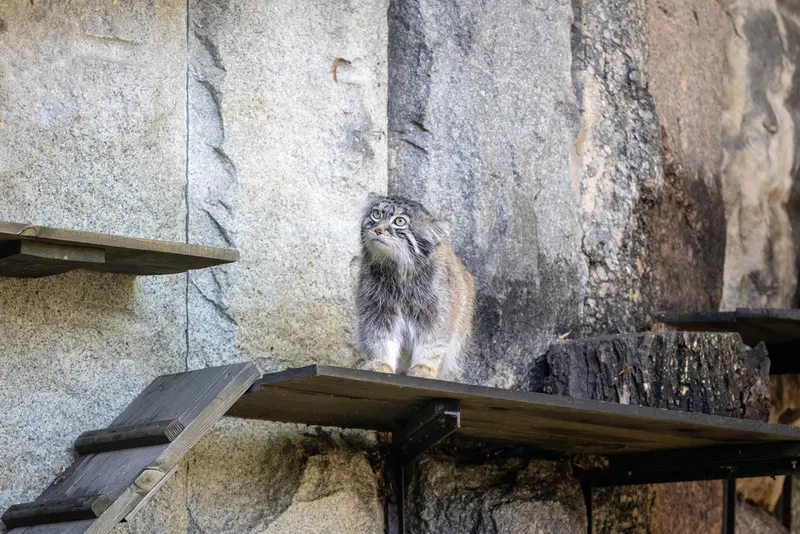 A photograph of Timofey in Moscow zoo