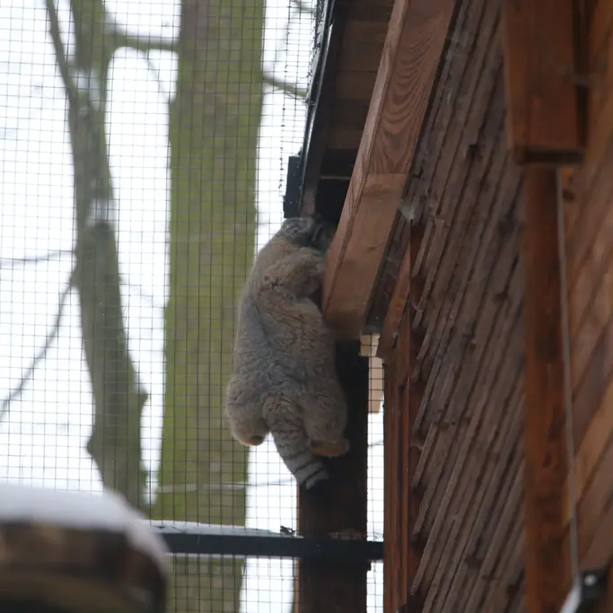 A photograph of Ula in Gdansk Zoo