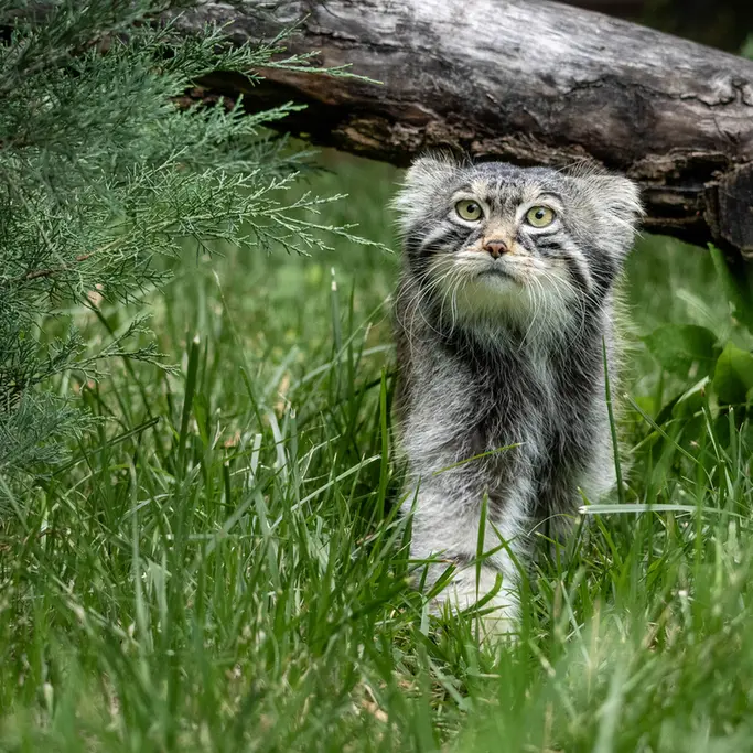 A photograph of Timofey in Moscow zoo
